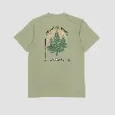 up north light olive back.webp