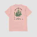 up north desert pink back.webp